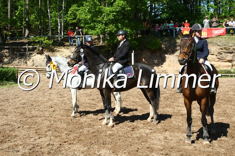 104M8513_Spring L.JPG